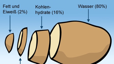 Kartoffelgrafik (Foto: SWR)