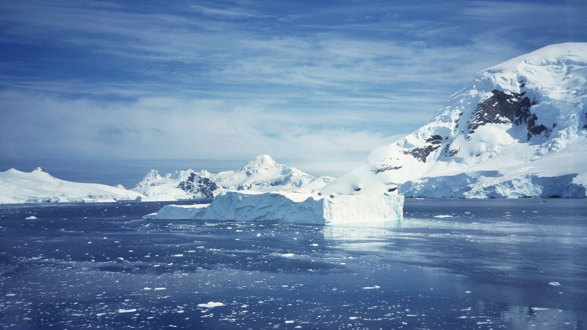 Treibende Eisscholle und Eisberge in der Paradiesbucht in der Antarktis (Foto: picture-alliance / Reportdienste, Foto: Reichardt)
