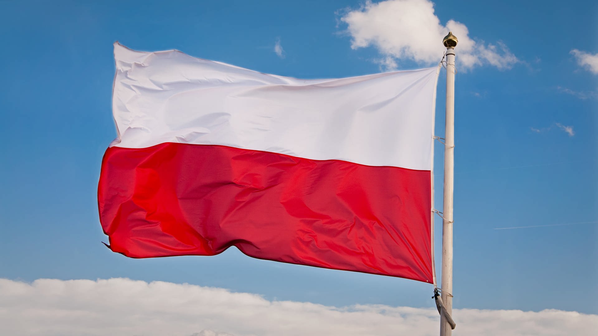Polen-Flagge (Foto: SWR)