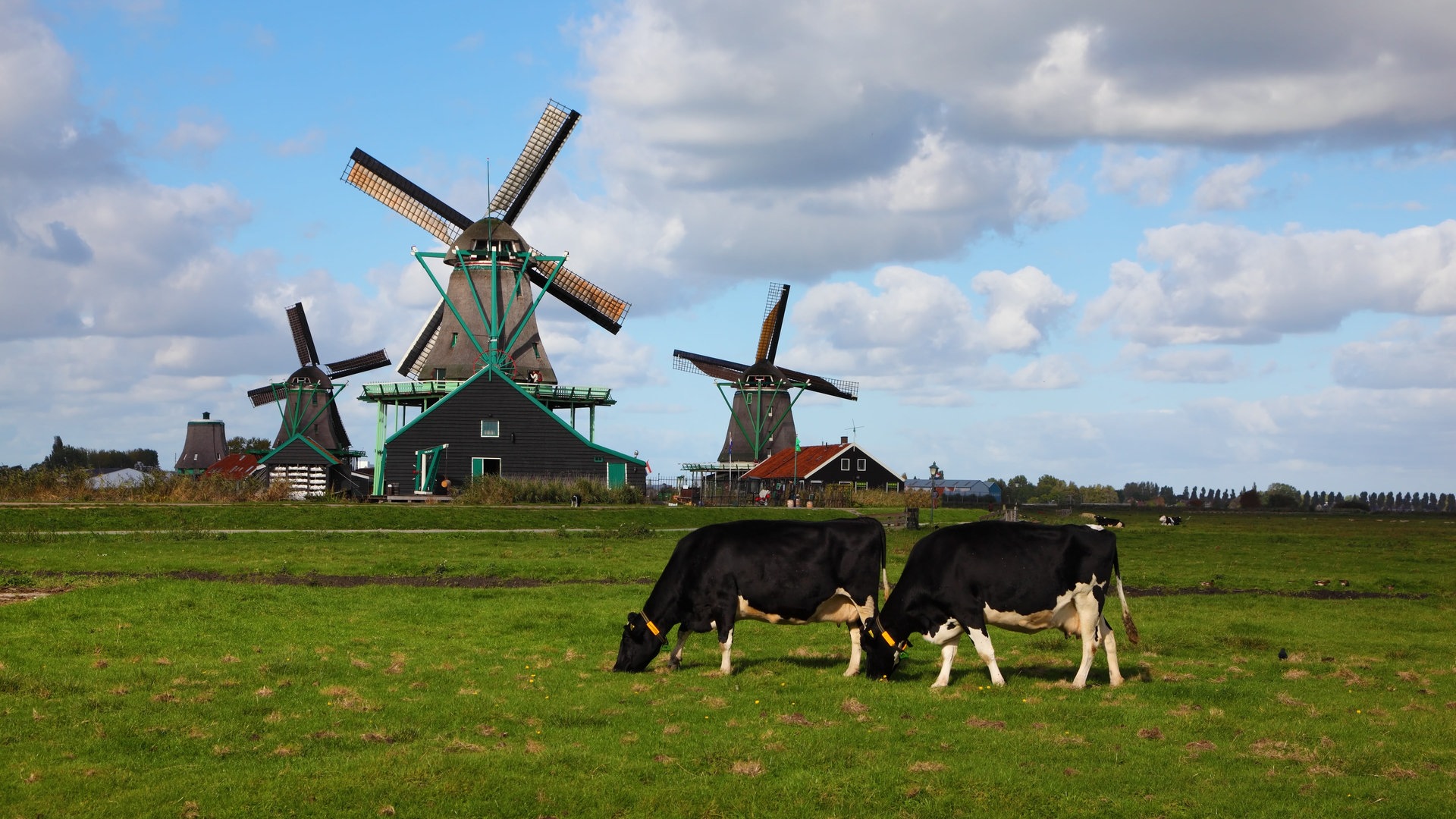 Foto: Colourbox Landschaft - Niederlande (Foto: Colourbox)