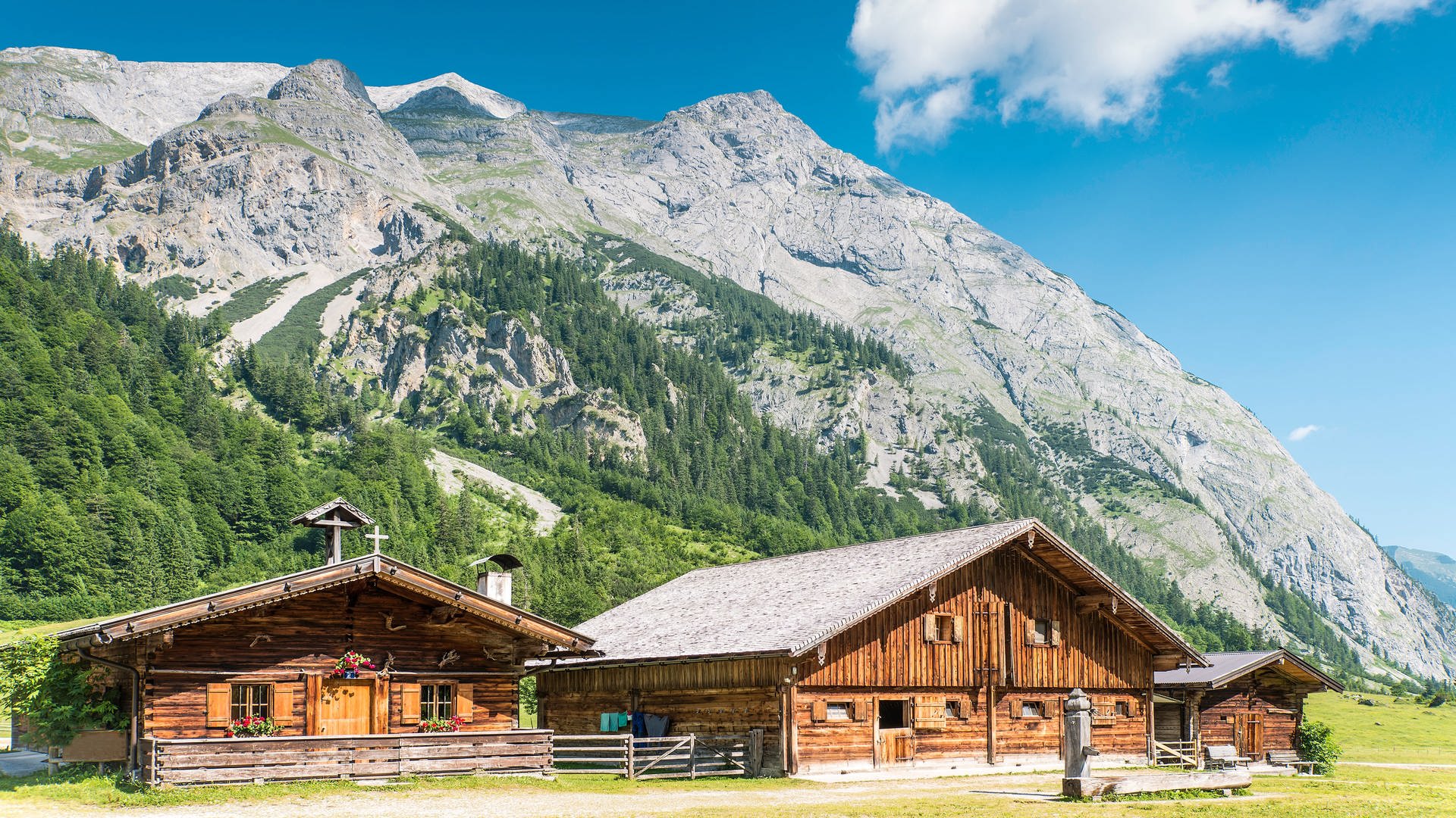 Die Alpen (Foto: Colourbox)