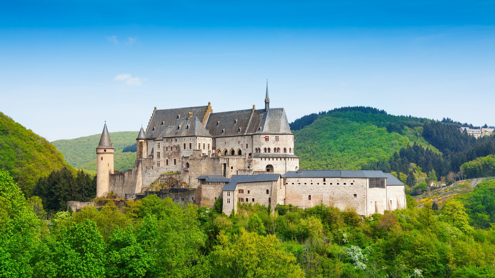 Burg Vianden (Foto: Colourbox)
