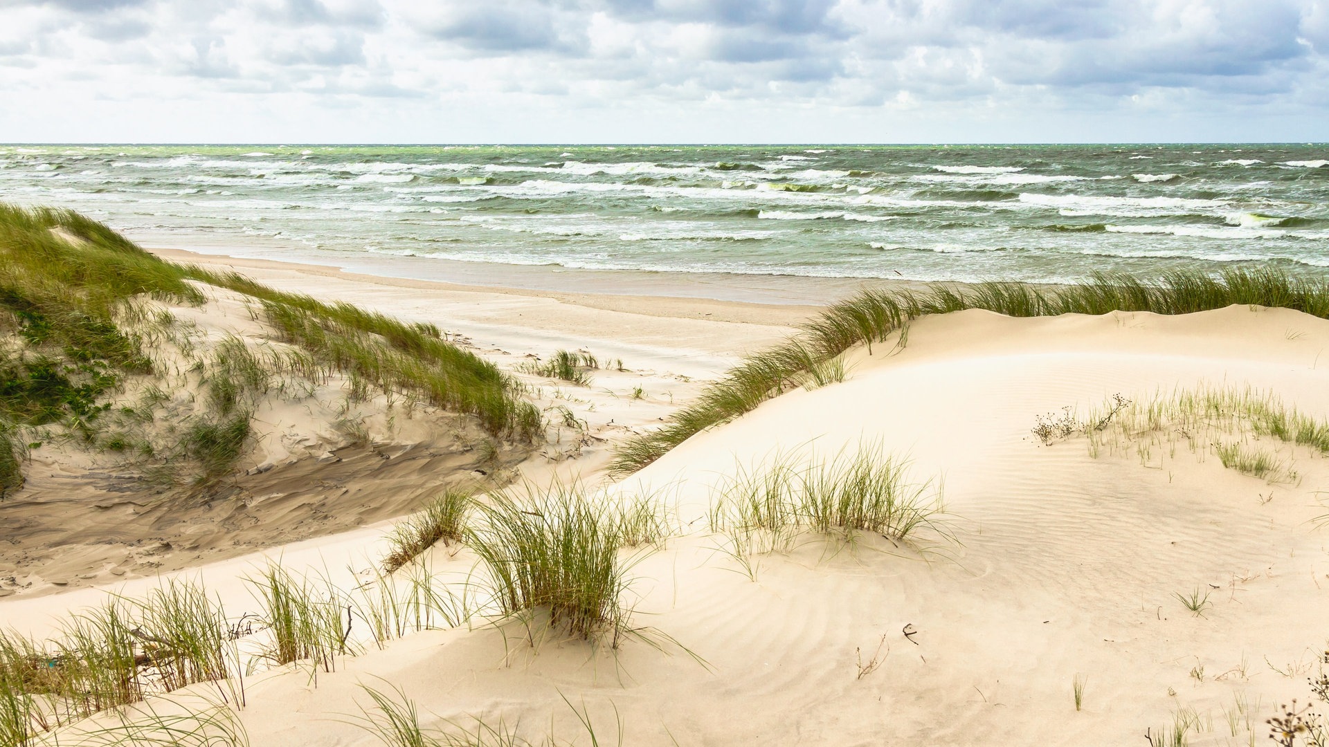 Foto: Colourbox Kurische Nehrung (Foto: Colourbox)