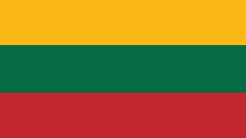 Litauen - Flagge (Foto: Colourbox)