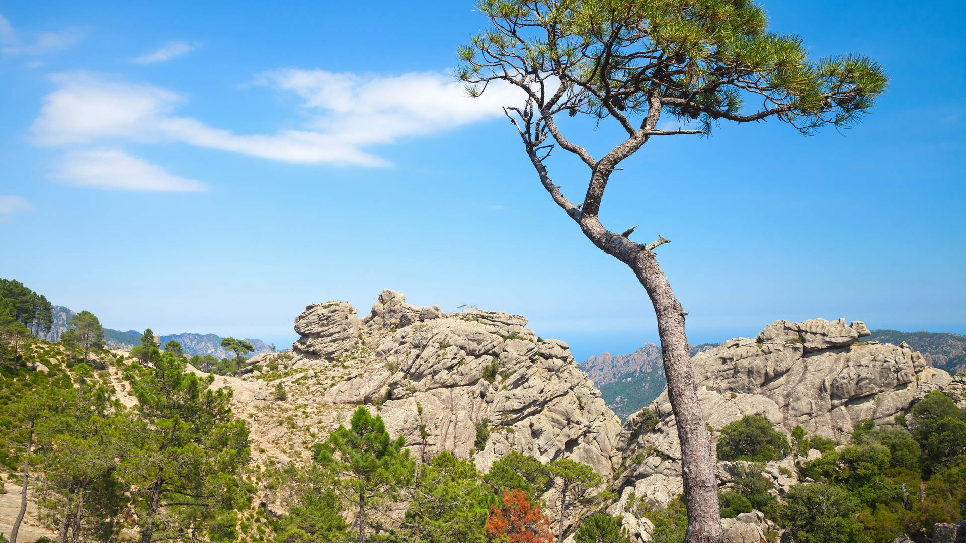 Korsika (Foto: Colourbox)