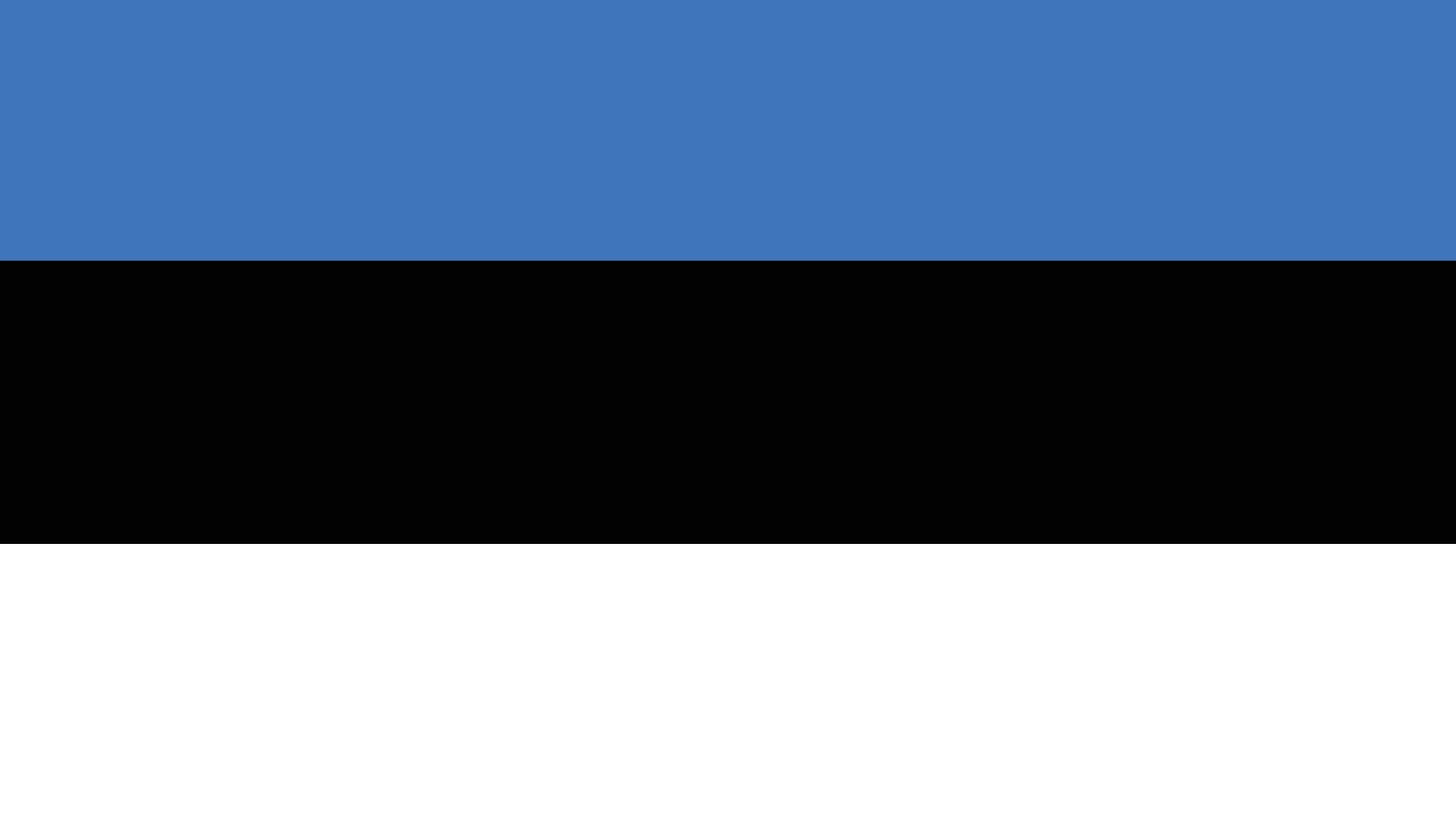 Estland - Flagge (Foto: Colourbox)