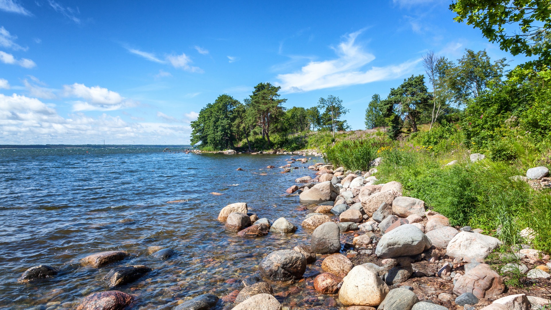 Foto: Colourbox Estland - Flagge (Foto: Colourbox)