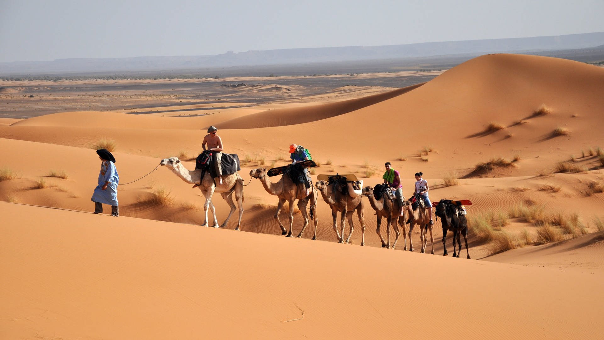 Eine Karawane in der Wüste (Foto: Colourbox)