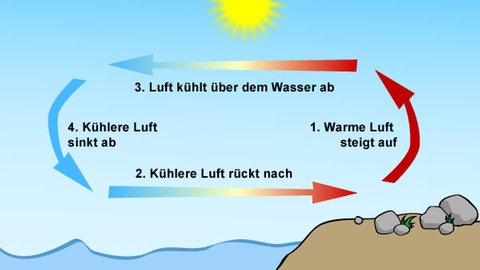 Illustration: Luftbewegung über dem Land und über dem Wasser (Foto: SWR)