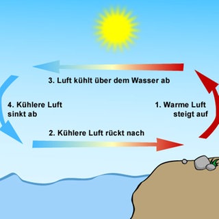 Illustration: Luftbewegung über dem Land und über dem Wasser (Foto: SWR)