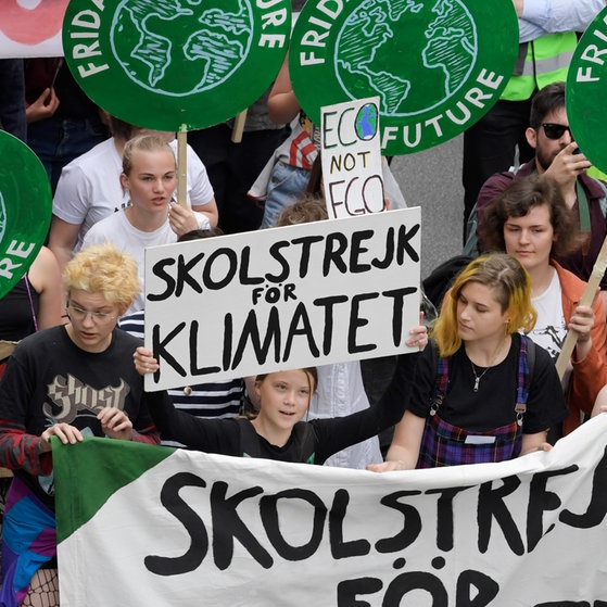 Foto: picture-alliance / Reportdienste, Picture Alliance Greta auf einer Fridays for Future Demonstration (Foto: picture-alliance / Reportdienste, Picture Alliance)
