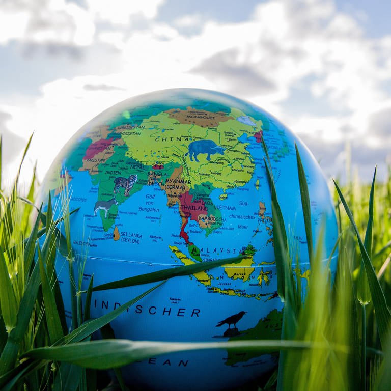 Ein Globus liegt im Gras (Foto: picture-alliance / Reportdienste, Fotostand | Fotostand / K. Schmitt)