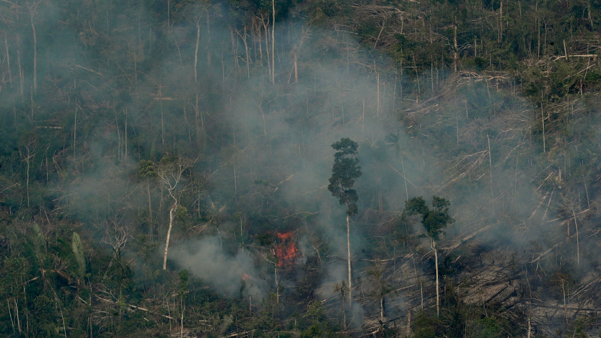Foto: picture-alliance / Reportdienste, dpa/AP | Eraldo Peres Rauch und Feuer sind über dem Amazonas Regenwald zu sehen (Foto: picture-alliance / Reportdienste, dpa/AP | Eraldo Peres)