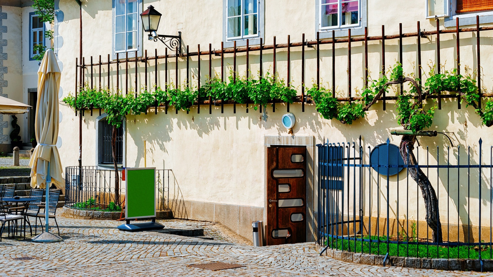 Die Weinreben in Maribor sind über 400 Jahre alt. Noch heute tragen sie saftige Trauben. (Foto: Colourbox)
