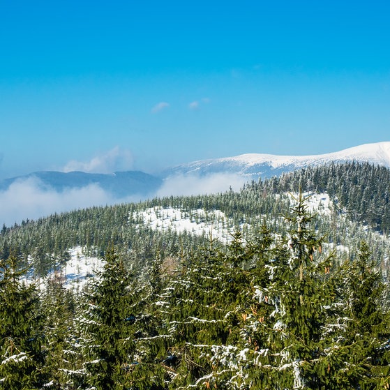 Tschechiens Berglandschaft (Foto: Colourbox)