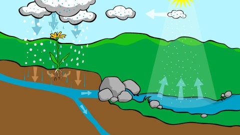 Grafik: Der Wasserkreislauf (Foto: SWR)