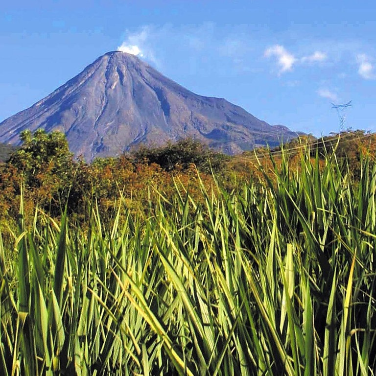 Der Vulkankegel des "Volcan de Fuego" (Foto: dpa Bildfunk, Name des Autors/Fotografen: A3077 epa afp Guerrero)