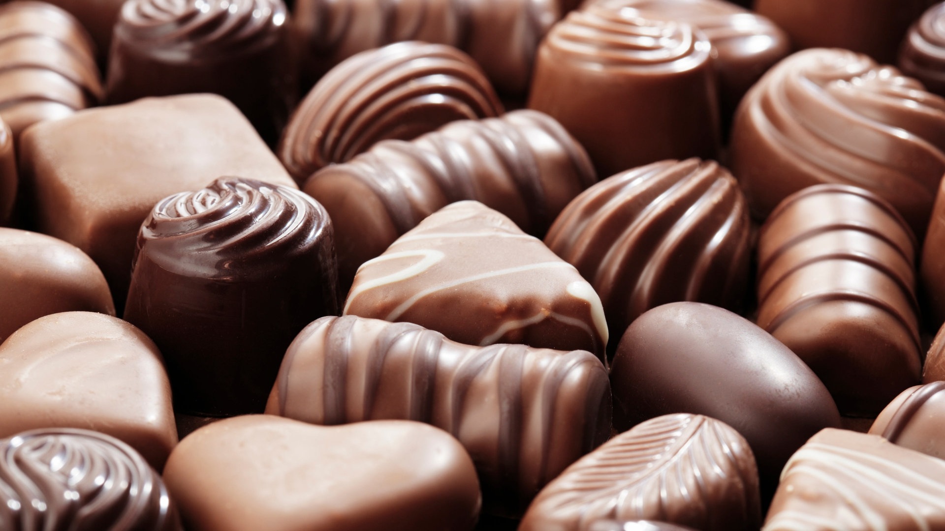 Pralinen Belgien (Foto: Colourbox)