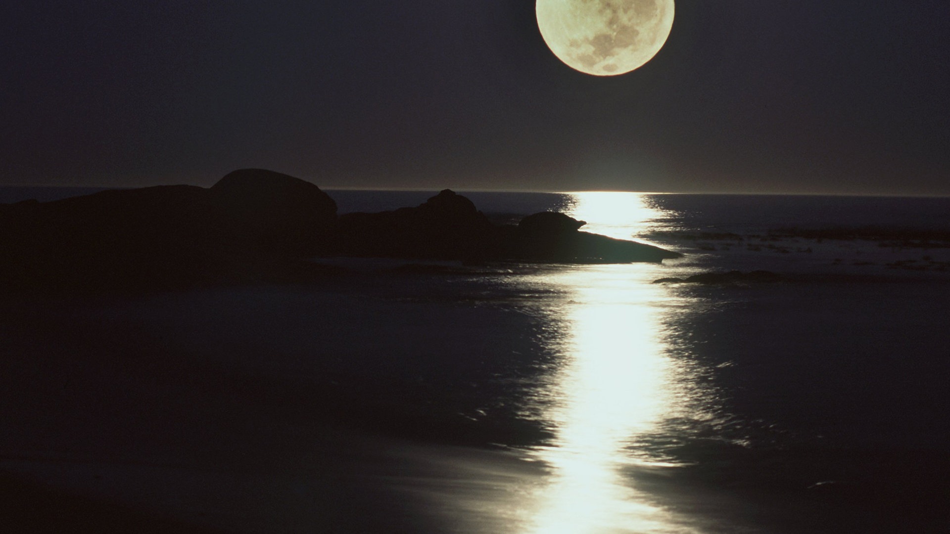 Foto: dpa Bildfunk, Foto: C2656 Ehlers Vollmond über dem Meer (Foto: dpa Bildfunk, Foto: C2656 Ehlers)
