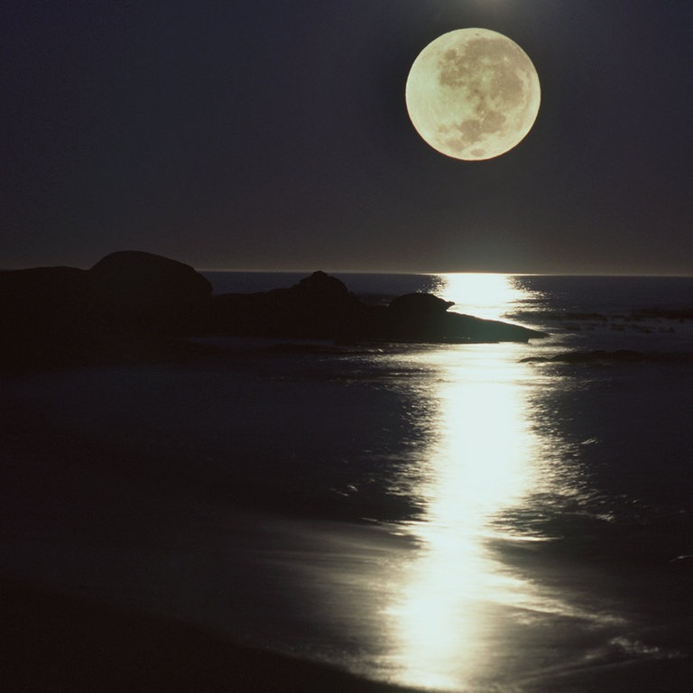 Vollmond über dem Meer (Foto: dpa Bildfunk, Foto:  C2656 Ehlers)