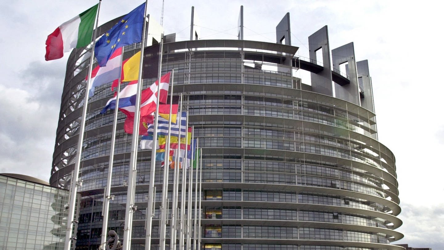 Das Europaparlament in Straßburg mit den Flaggen der EU-Mitgliedsstaaten und der EU-Flagge (Foto: dpa Bildfunk, Picture Alliance)