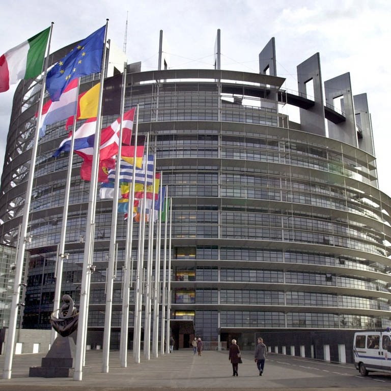 Das Europaparlament in Straßburg mit den Flaggen der EU-Mitgliedsstaaten und der EU-Flagge