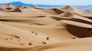 Die Sahara (Foto: Colourbox) Die Sahara
