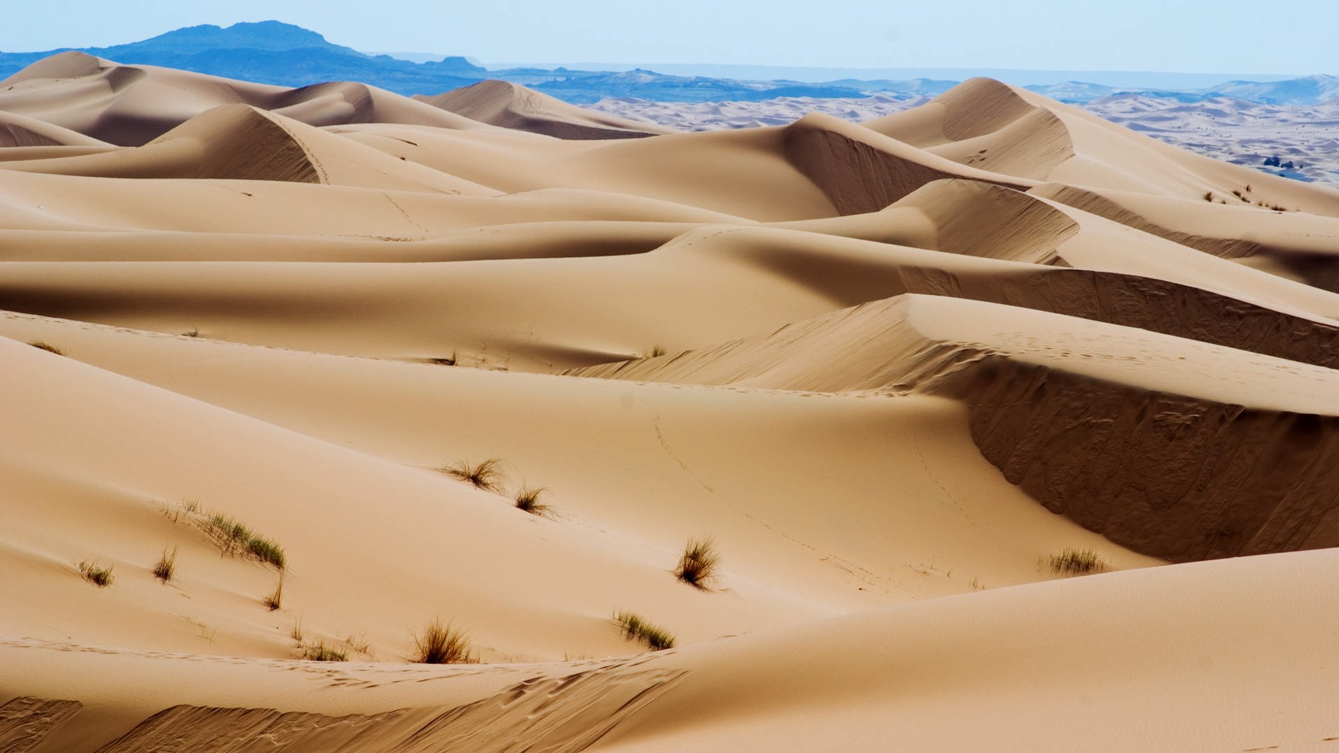 Die Sahara (Foto: Colourbox)