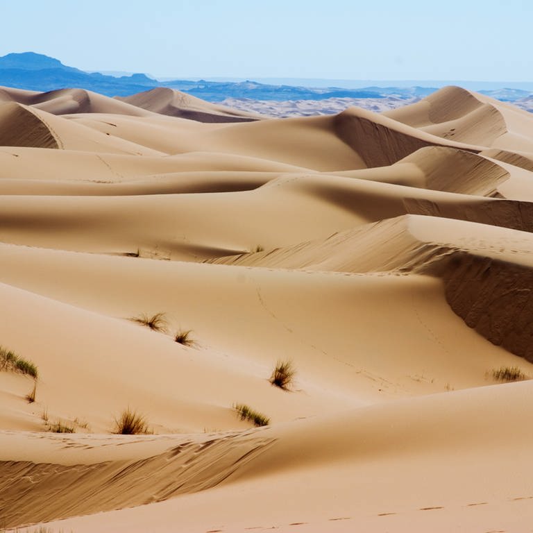 Die Sahara (Foto: Colourbox)