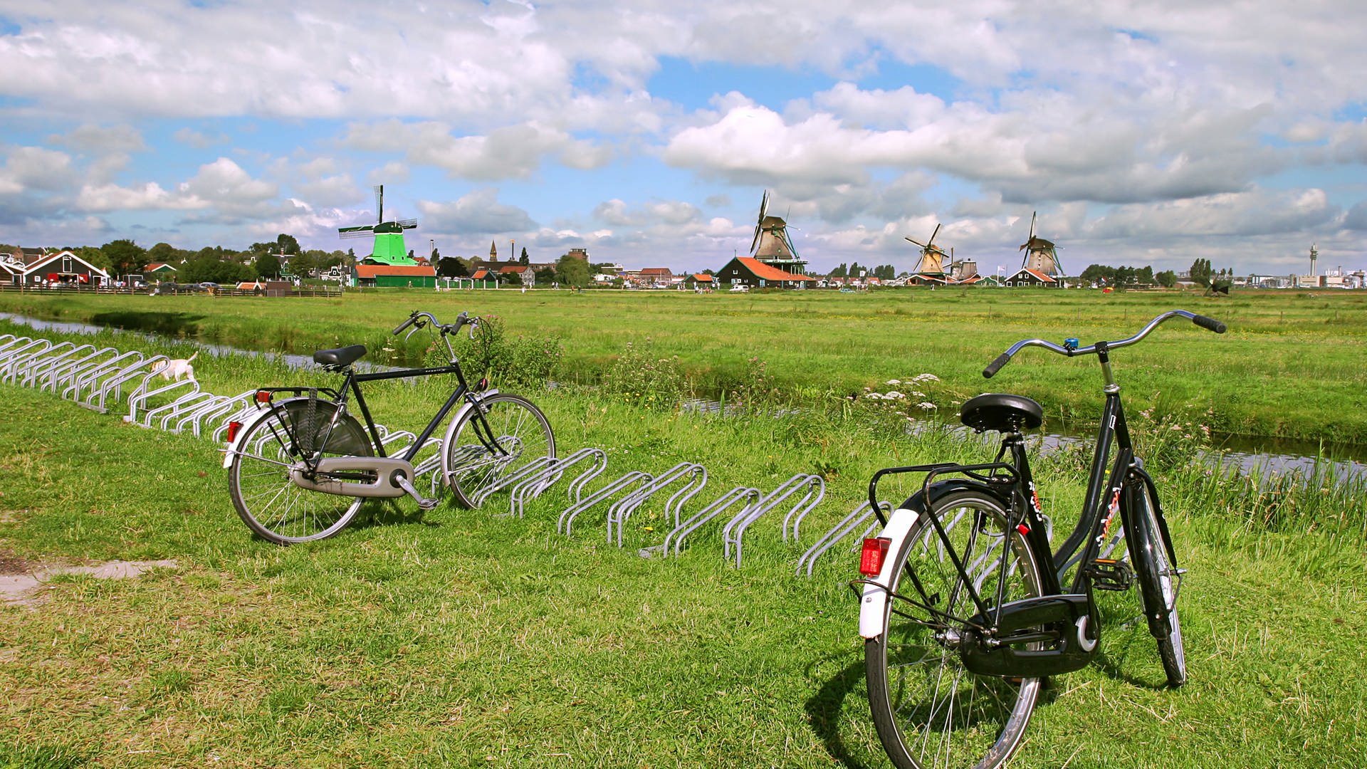 Fahrräder - Niederlande (Foto: Colourbox)