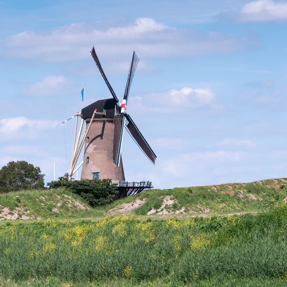 Windmühlen in den Niederlanden (Foto: Colourbox)