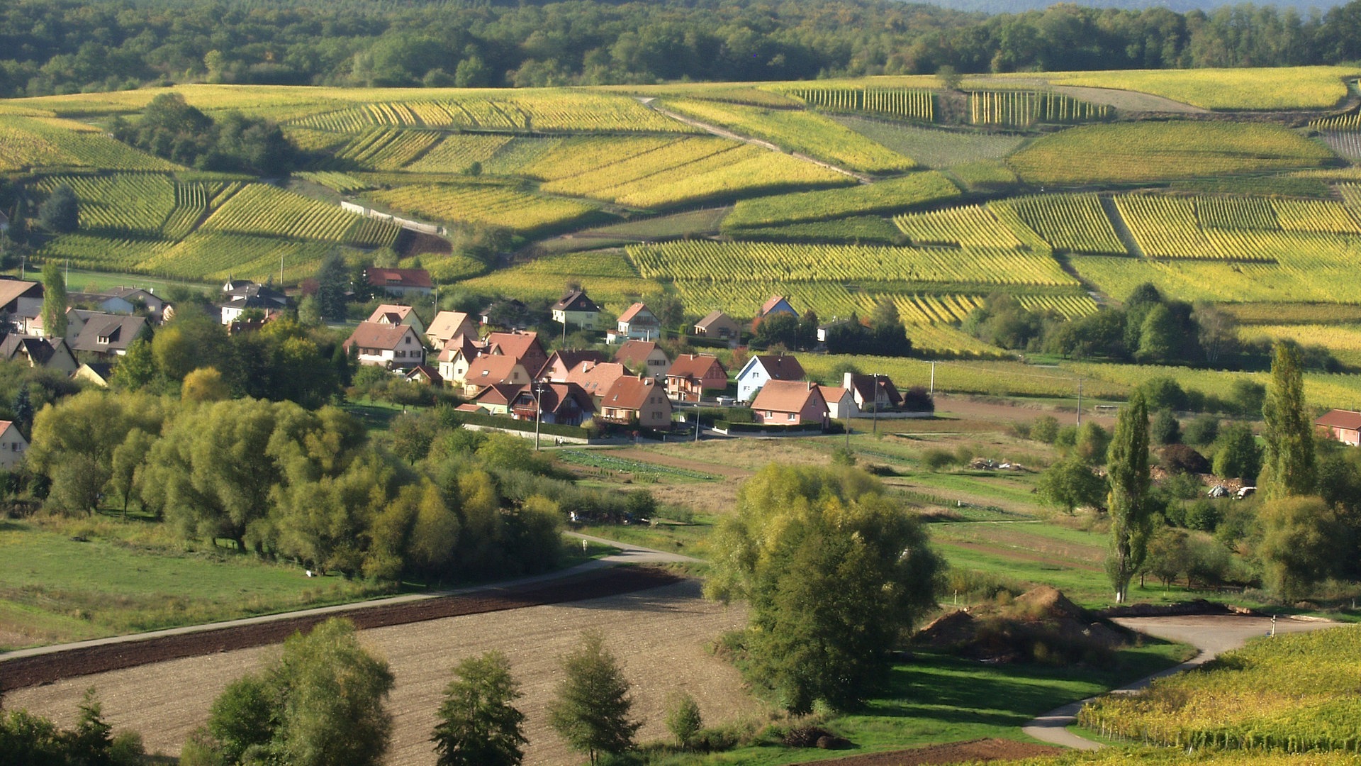 Foto: Colourbox Die Landschaft von Frankreich (Foto: Colourbox)