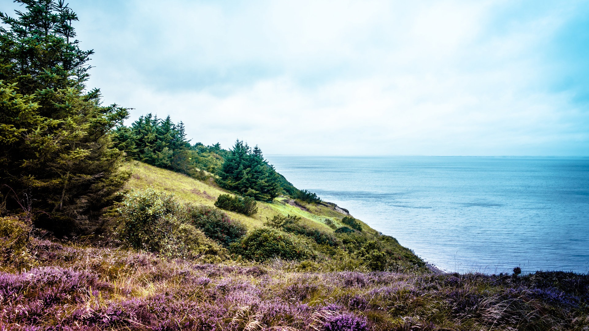 Foto: Colourbox Dänemarks Landschaft (Foto: Colourbox)