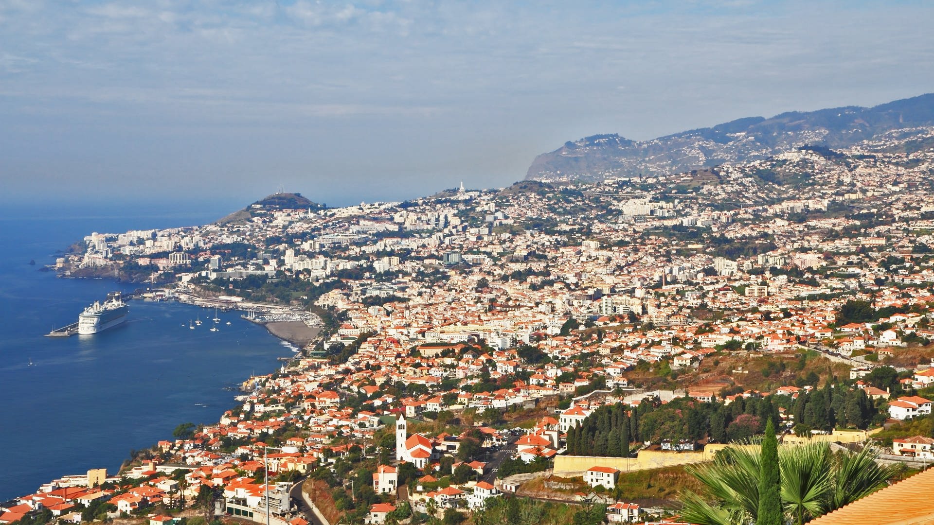 Die Insel Madeira (Foto: Colourbox)