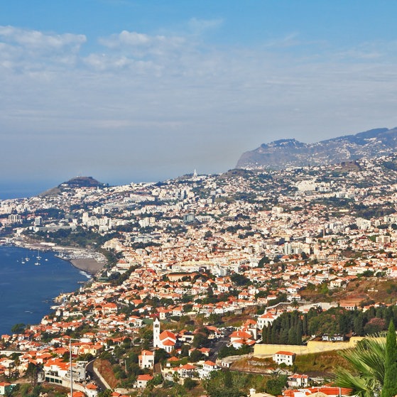 Die Insel Madeira (Foto: Colourbox)