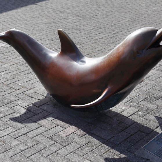 Delphin Fungie Statue (Foto: picture-alliance / Reportdienste, imageBROKER  Martin Siepmann)