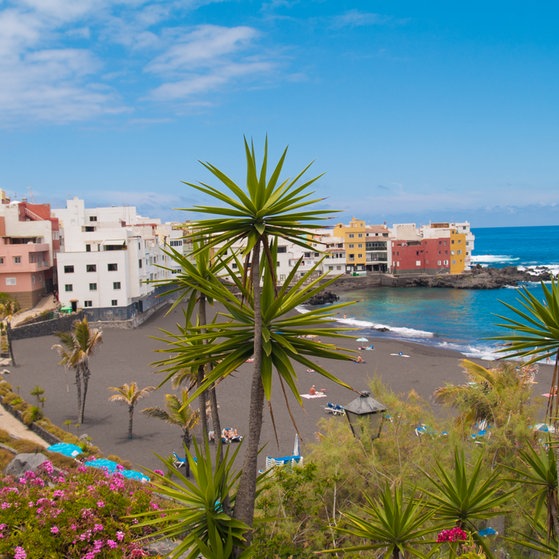 Strand in Teneriffa (Kanarische Inseln) (Foto: Colourbox)