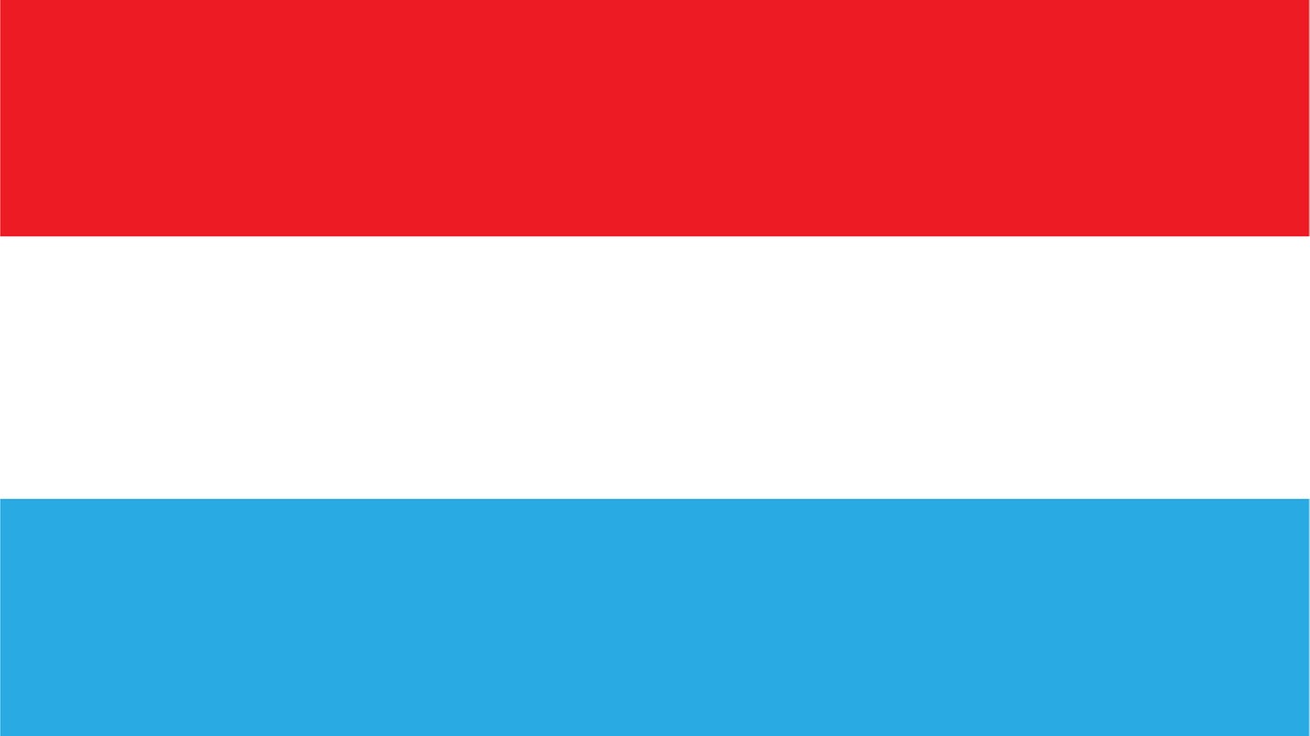 Foto: SWR Luxemburg - Flagge (Foto: SWR)