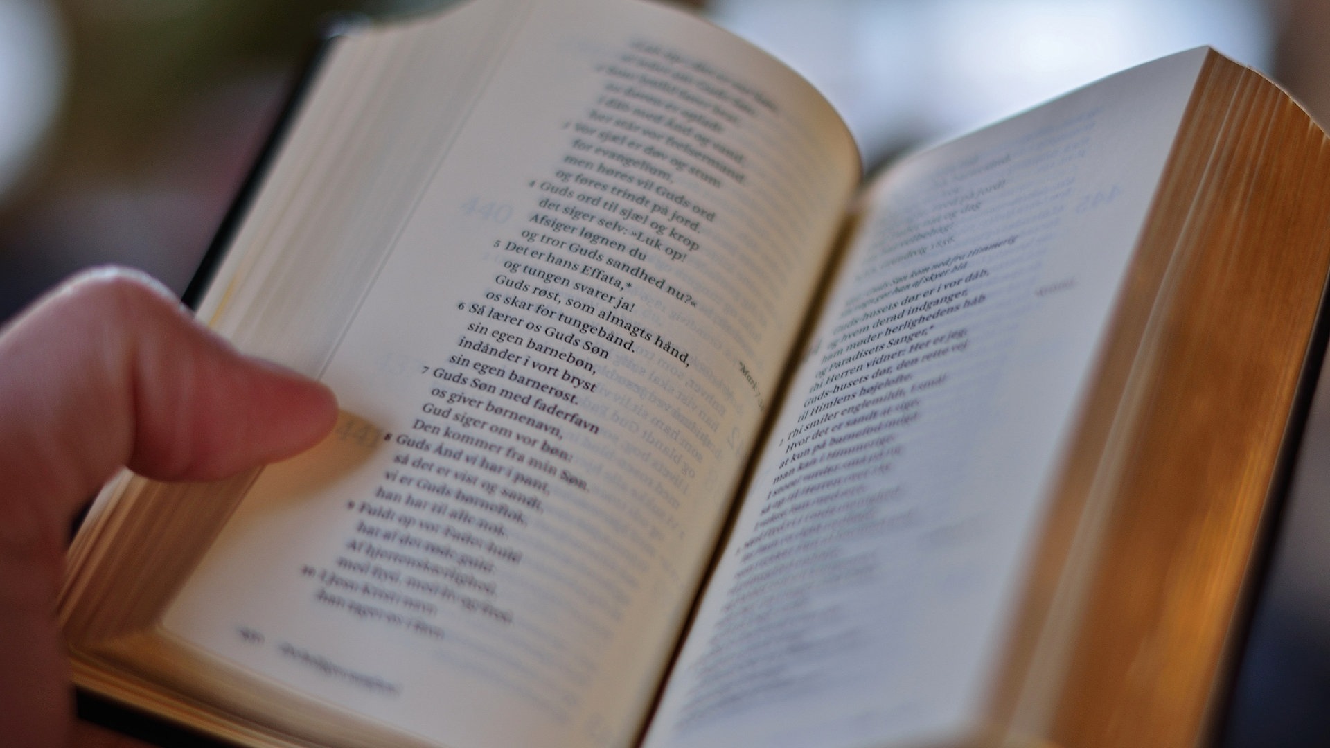 Foto: Colourbox Die Bibel (Foto: Colourbox)
