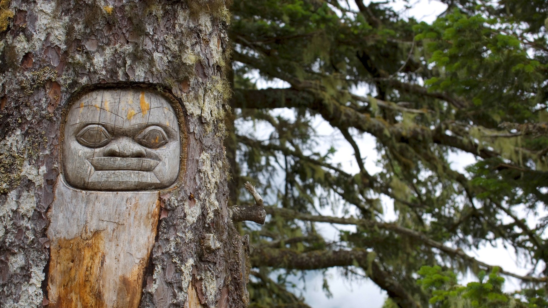 Foto: picture-alliance / Reportdienste, blickwinkel/H. Schulz | H. Schulz Holzschnitzereien der Wald-Indigenen (Foto: picture-alliance / Reportdienste, blickwinkel/H. Schulz | H. Schulz)