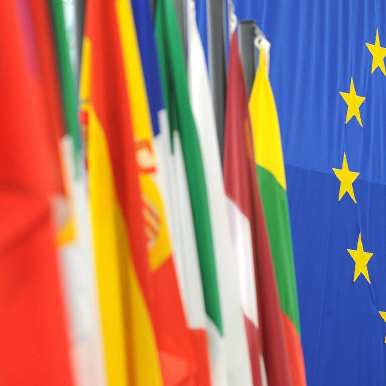 Die Flaggen der EU-Mitgliedsstaaten und im Hintergrung eine EU-Flagge