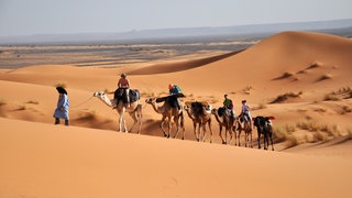Eine Karawane in der Wüste (Foto: Colourbox) Eine Karawane in der Wüste