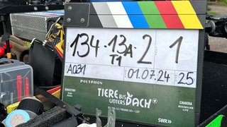 Film-Klappe Tiere bis unters Dach (Foto: SWR) Film-Klappe Tiere bis unters Dach