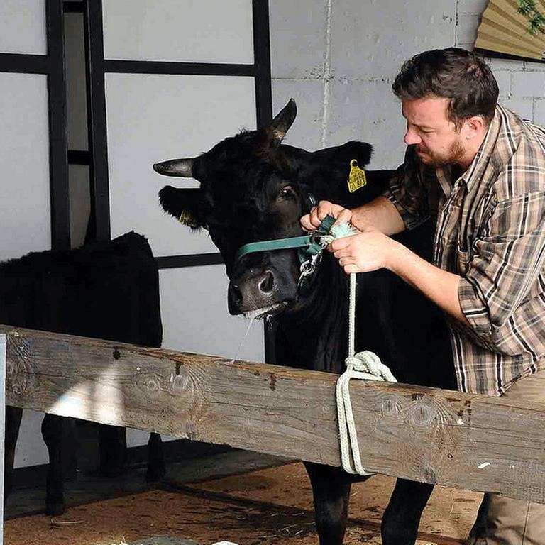 Bauer mit einer Kuh