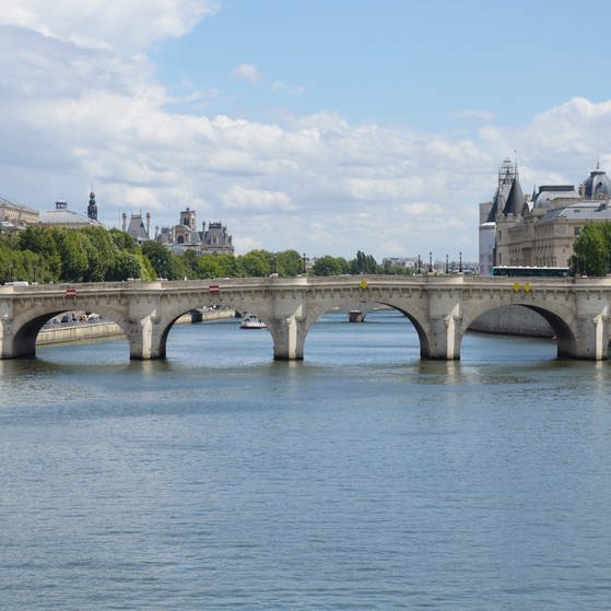 Die Brücke "Pont Neuf" in Paris