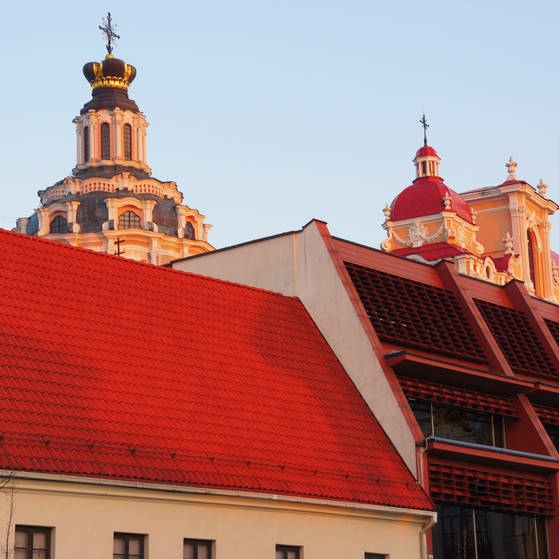Dächer Vilnius