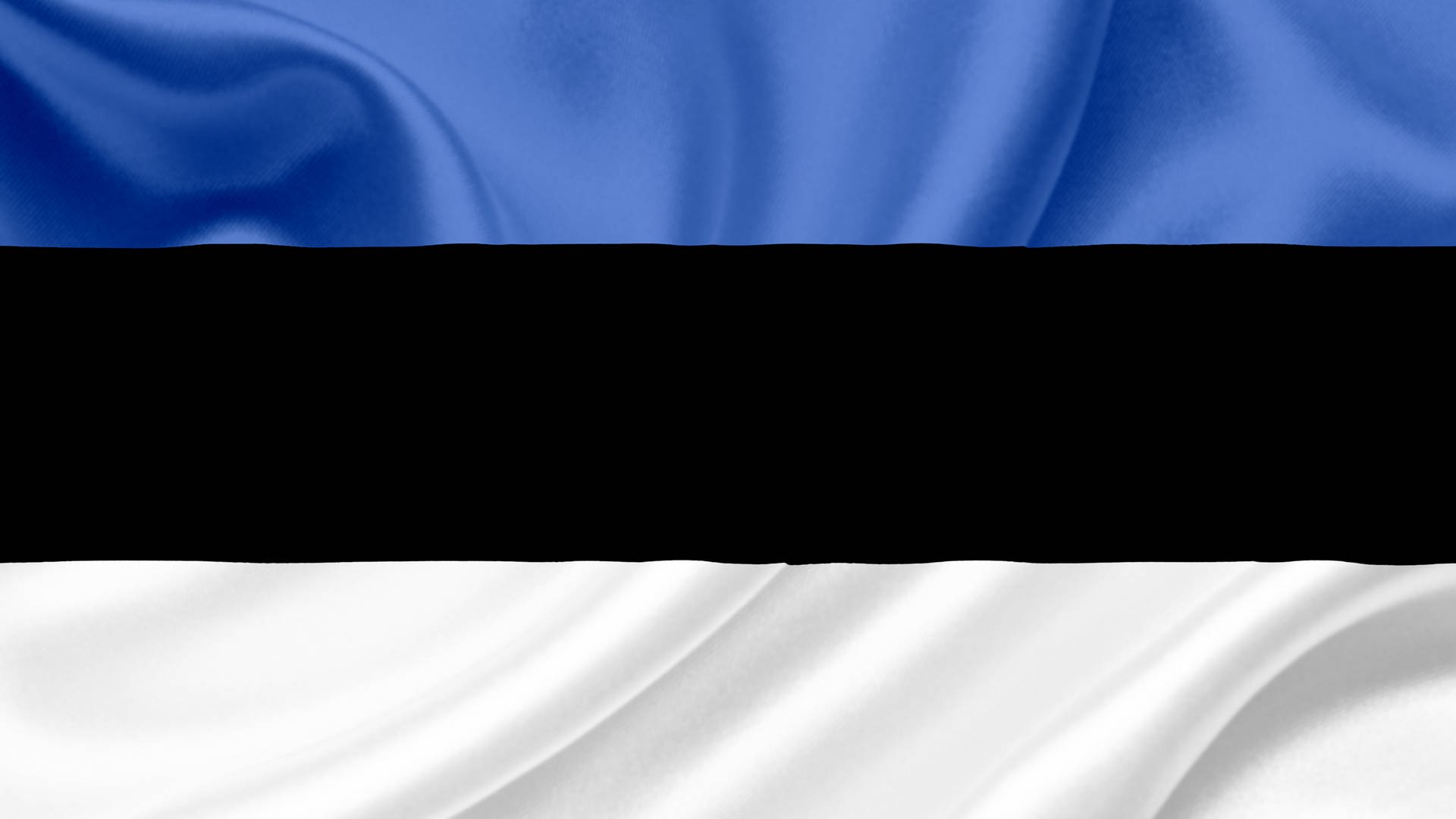 Estland-Flagge